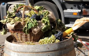 Vinobrani праздник молодого вина